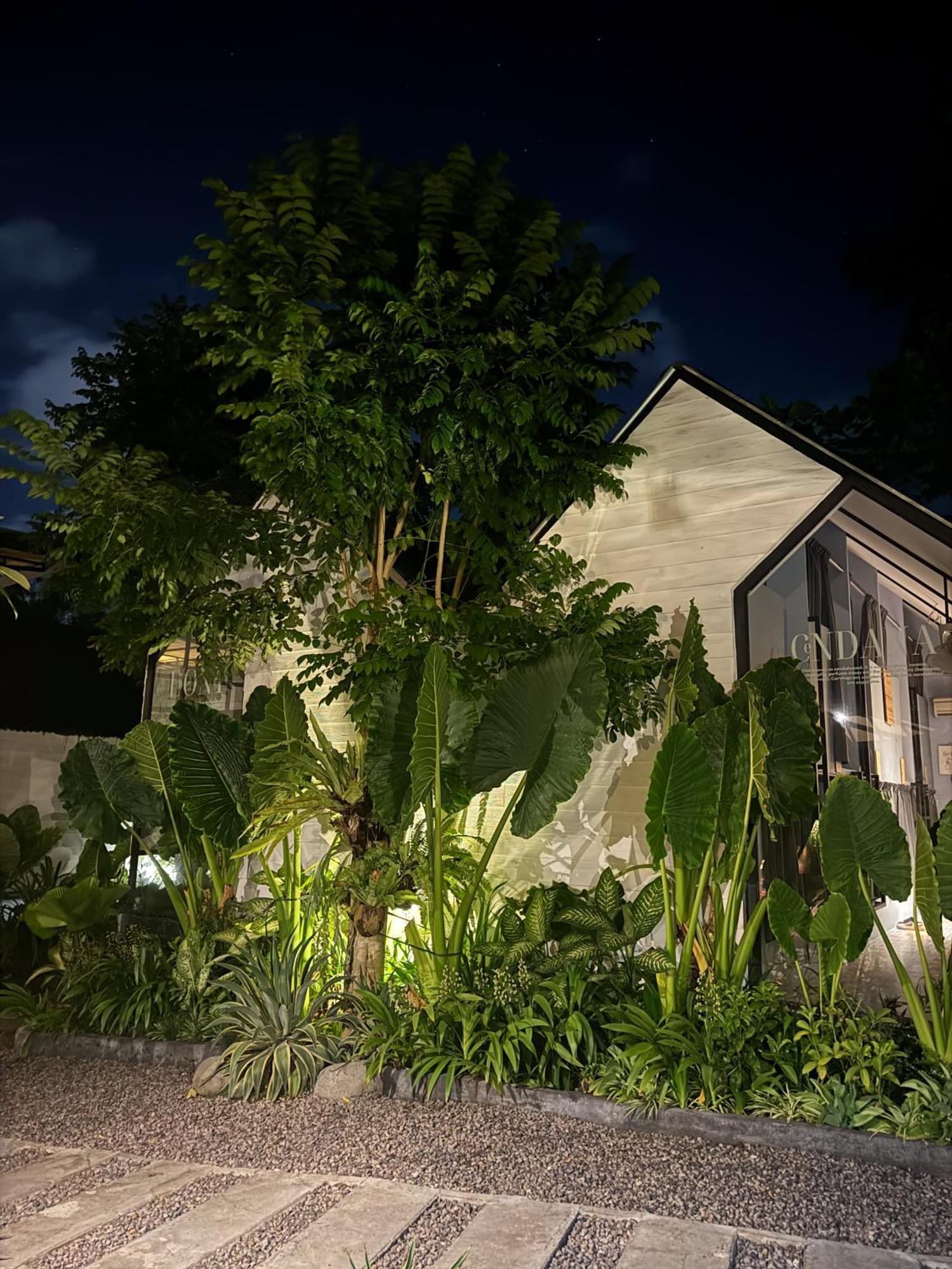 The Jungle Hostel Canggu Esterno foto
